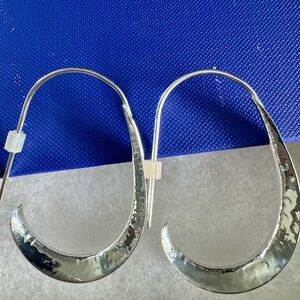 Seed and Sage Silver Earrings